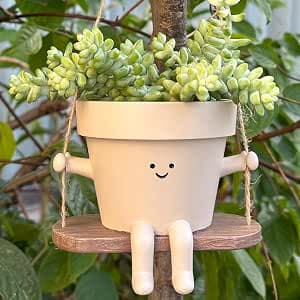 Swing Face Hanging Planters